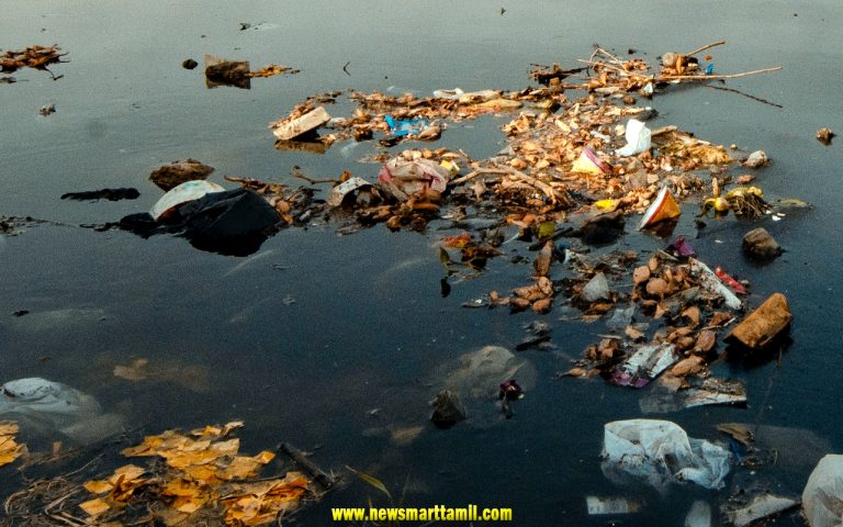 நீரின் முக்கியத்துவம் | Importance Of Water In Tamil » New Smart Tamil